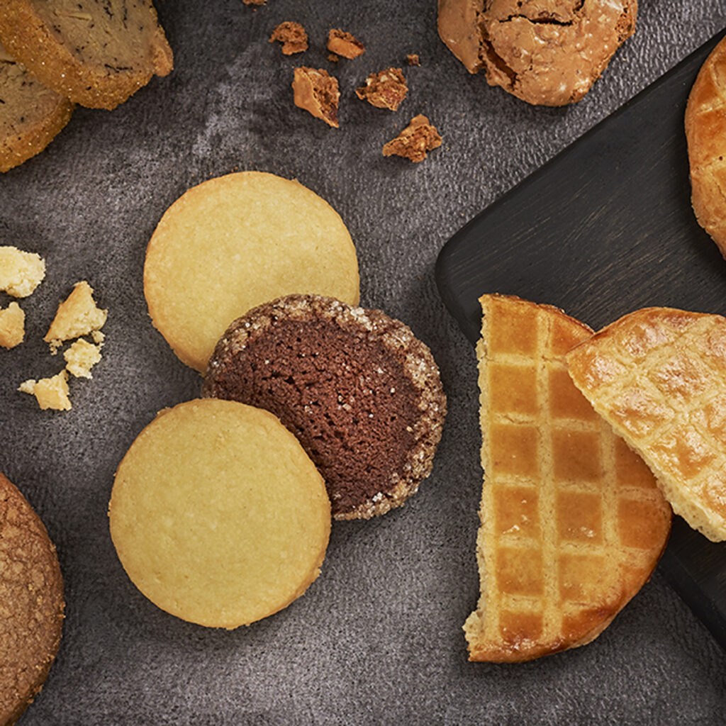 BISCUITS-carre-web
