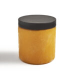 Sorbet Mangue