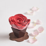 Rose Chocolat